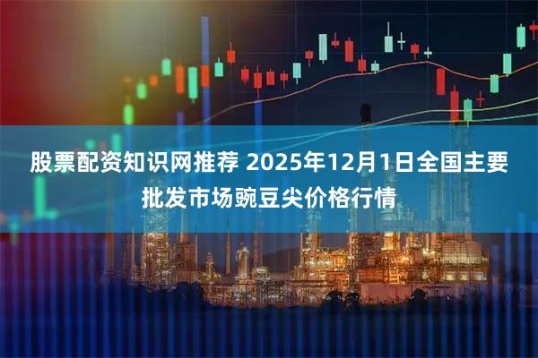股票配资知识网推荐 2025年12月1日全国主要批发市场豌豆尖价格行情
