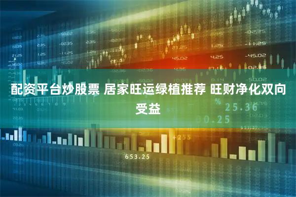 配资平台炒股票 居家旺运绿植推荐 旺财净化双向受益